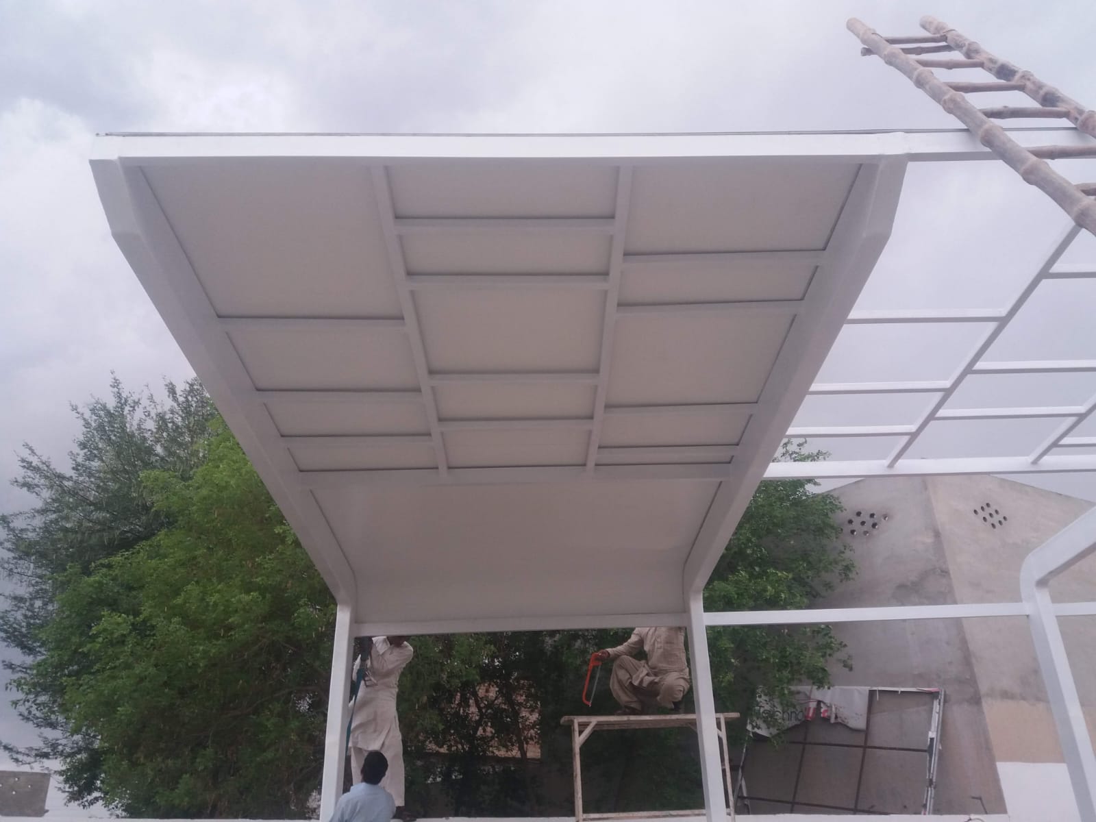 Nucleus Pakistan project view
